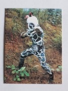 032 �쥫��ӡ����̥饤���������� No.32 �����å����¾��ʡ��ָ��פΥ��ͭ��