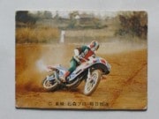 旧カルビー仮面ライダーV3カード,No.1～100,No.40～49 | キンキーズ