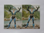 New!! カルビー仮面ライダーカード ディープな世界へようこそ!! 各種