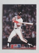 77100 ӡץ奫 77ǯ No.100  ķ 㥤 