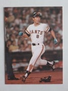 77080 ӡץ奫 77ǯ No.80   㥤 