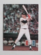 77105 ӡץ奫 77ǯ No.105  ķ 㥤 