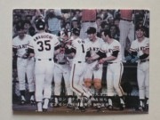 77036 ����ӡ��ץ���奫���� 77ǯ No.36 ��� ���缣 756���ý�