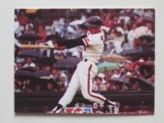 77010 ӡץ奫 77ǯ No.10  缣 㥤 