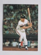 77073 ӡץ奫 77ǯ No.73  缣 㥤 