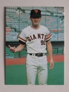 77084 ӡץ奫 77ǯ No.84  Ĺͺ 㥤 