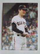 77024 ӡץ奫 77ǯ No.24  Ĺͺ 㥤 