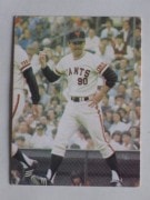 77037 ӡץ奫 77ǯ No.37  Ĺͺ 㥤 ²