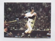 77059 ӡץ奫 77ǯ No.59  Ŀ 㥤 