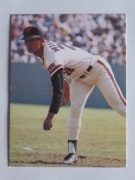 77067 ӡץ奫 77ǯ No.67   㥤 ¾