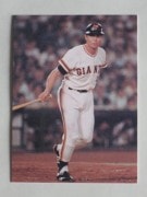 77086 ӡץ奫 77ǯ No.86  缣 㥤 