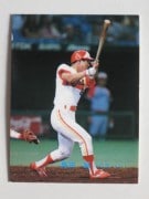 89166 ����ӡ��ץ���奫���� 89ǯ No.166 ���ܥϥ� ������ �¾���