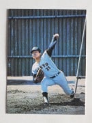 73043 ����ӡ��ץ���奫���� 73ǯ No.43 ��� �ⶶ�컰 ���� ����