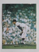 73048 ����ӡ��ץ���奫���� 73ǯ No.48 ��� ���⹱�� ���� ����