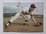 73084 ����ӡ��ץ���奫���� 73ǯ No.84 � ���浱�� ���� ����