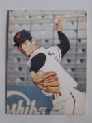 73201 ����ӡ��ץ���奫���� 73ǯ No.201 ���� ����Χ�� �¾���