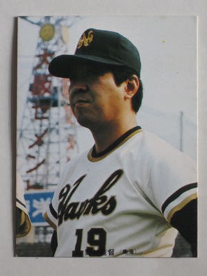 73239 ����ӡ��ץ���奫���� 73ǯ No.239 � ��¼���� �¾��������