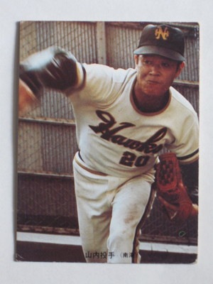 73244 ����ӡ��ץ���奫���� 73ǯ No.244 � ���⿷�� �¾���