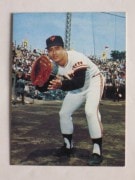 73011 ����ӡ��ץ���奫���� 1973ǯ No.11 ��� ���缣 �Хå��� �¾���