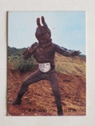 030 �쥫��ӡ����̥饤���������� No.30 �����å����²��ʡ��������å�������