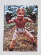 031 �쥫��ӡ����̥饤���������� No.31 �����å����¾��ʡ��������å������ס�������