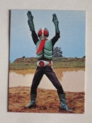 043 �쥫��ӡ����̥饤���������� No.43 �����å����¾��ʡ��������å�������