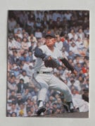 74165 ����ӡ��ץ���奫���� 74ǯ No.165 ��� �ⶶ�컰 ����