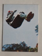 045 �쥫��ӡ����̥饤���������� No.45 �����å����¾��ʡ��������å�������