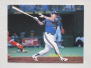 89295 ����ӡ��ץ���奫���� 89ǯ No.295 ����å��� ������� ����