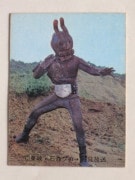 030 �쥫��ӡ����̥饤���������� No.30 ��ī�����ߥ��������ס��¾���