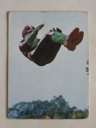 045 �쥫��ӡ����̥饤���������� No.45 ��ī������ī�����ס��²���