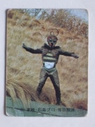 116 �쥫��ӡ����̥饤���������� No.116 N3�ǡ��²������ʡ�A������