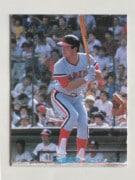 80236 ӡץ奫 80ǯ No.236  ƣ  ²