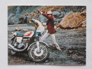 昭和　カルビー　仮面ライダーカード（No.200〜299） 旧カルビー仮面ライダーカード,No.200～299 | キンキーズ