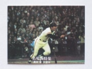 7753 ����ӡ��ץ���奫���� 77ǯ No.53 ��� ������ ̾���� ����