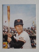 73021 ����ӡ��ץ���奫���� 73ǯ No.21 ��� ������ �Хå��� �²���