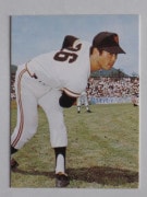 73031 ����ӡ��ץ���奫���� 73ǯ No.31 ��� �������� 2 ���� ����