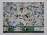 73034 ����ӡ��ץ���奫���� 73ǯ No.34 ��� �ڰ����� ���� �¾��������