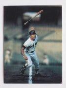 73035 ����ӡ��ץ���奫���� 73ǯ No.35 ��� ������ 1 �Хå��� �¾���