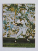 73046 ����ӡ��ץ���奫���� 73ǯ No.46 ��� ����̱�� ���� �²���