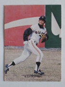 73047 ����ӡ��ץ���奫���� 73ǯ No.47 ��� ����̱�� ���� �¾���