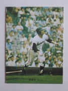 73049 ����ӡ��ץ���奫���� 73ǯ No.49 ��� ����ɧ �Хå��� ������