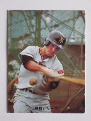 73306 ����ӡ��ץ���奫���� 73ǯ No.306 �䥯��� �㾾�� �²���