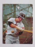 73306 ����ӡ��ץ���奫���� 73ǯ No.306 �䥯��� �㾾�� �²���