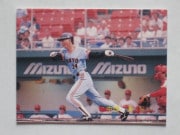 89335 ����ӡ��ץ���奫���� 89ǯ No.335 ��� ��Ȫ�� �¾���