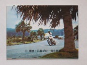 242 No.242 KR11  ����