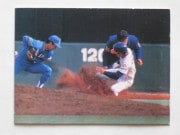 80042 ӡץ奫 80ǯ No.42 ܥϥ  Ƚ A Ȥ ¾