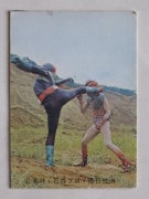 057 쥫ӡ̥饤 No.57 ī