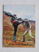 057 쥫ӡ̥饤 No.57 å²