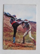 057 쥫ӡ̥饤 No.57 å²